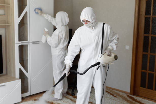 Certified Mold Removal in Sulphur Springs, TX