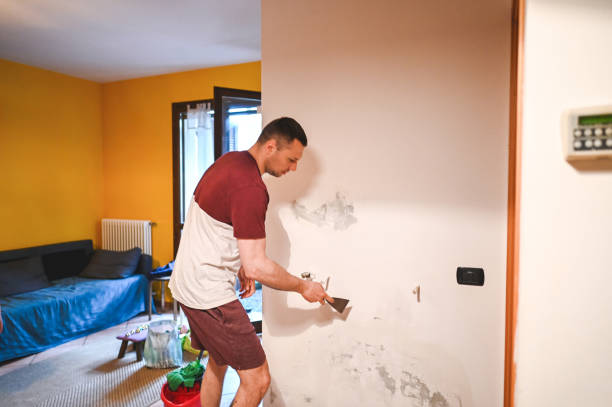Best Affordable Mold Removal  in Sulphur Springs, TX